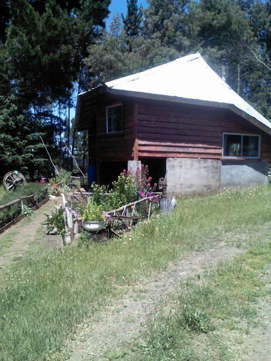 Cabañas Huilipan Gonzalez Nueva Imperial Exterior foto